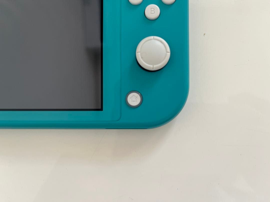 Nintendo Switch Liteターコイズ 充電器SDカードケース付き