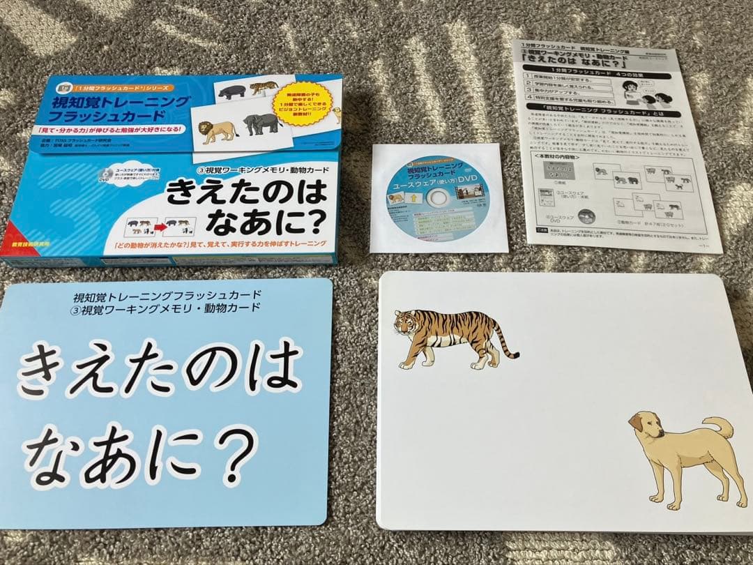発達促進ドリル全10巻　視知覚トレーニングカード全5巻　書籍他