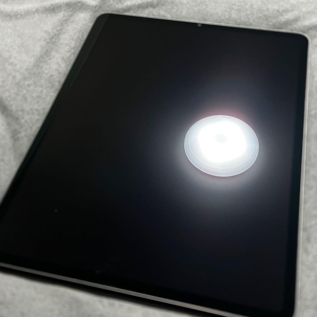 iPad Pro 12.9インチ 第5世代 ジャンク 画面表示不良 初期化済