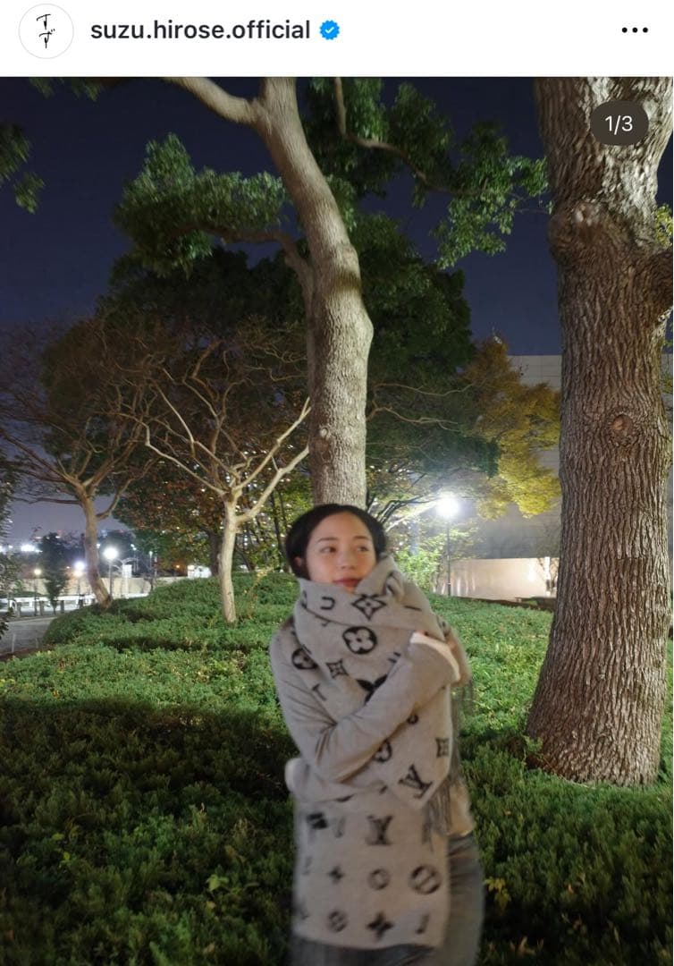 入手不可 Louis Vuitton レイキャビック 2.0 マフラー