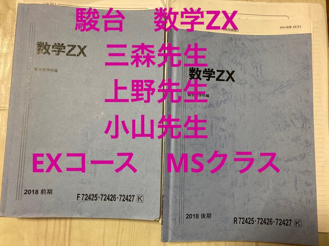 駿台 数学ZS 三森先生,上野先生,小山先生 2018年度 EX(MS)