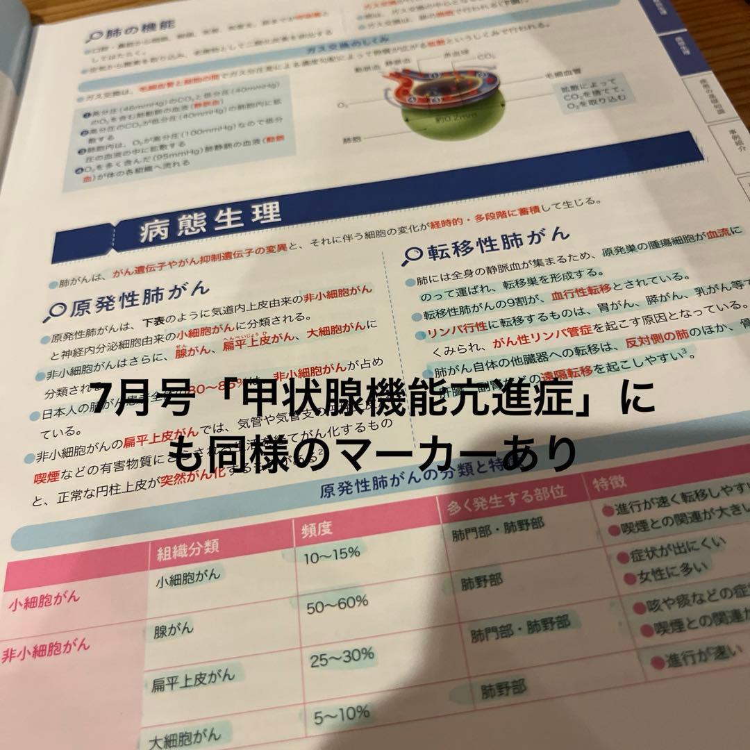 プチナース全巻セット