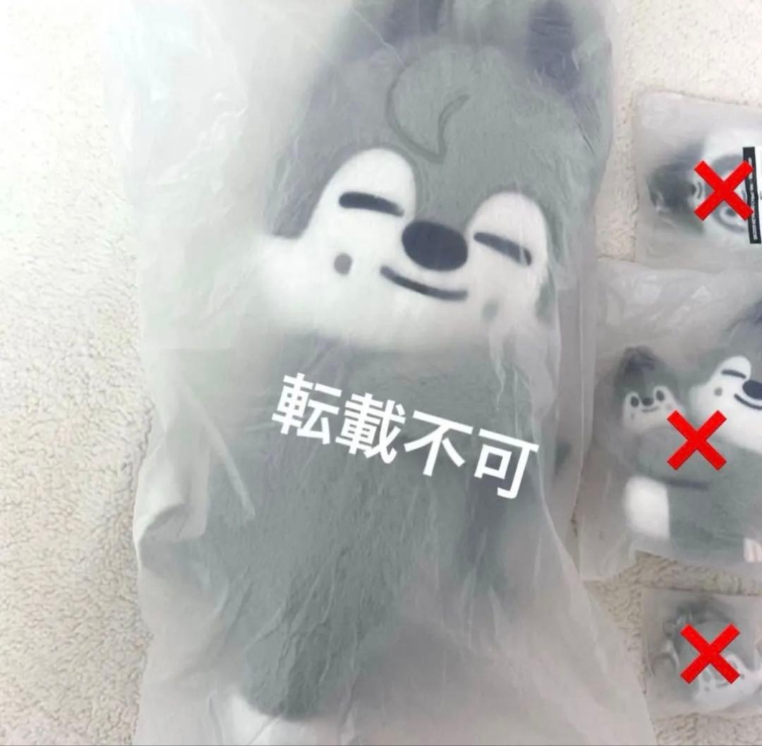 straykids バンチャン plush bag プラッシュ バッグ