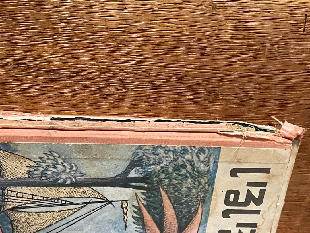 いるいるおばけがすんでいる