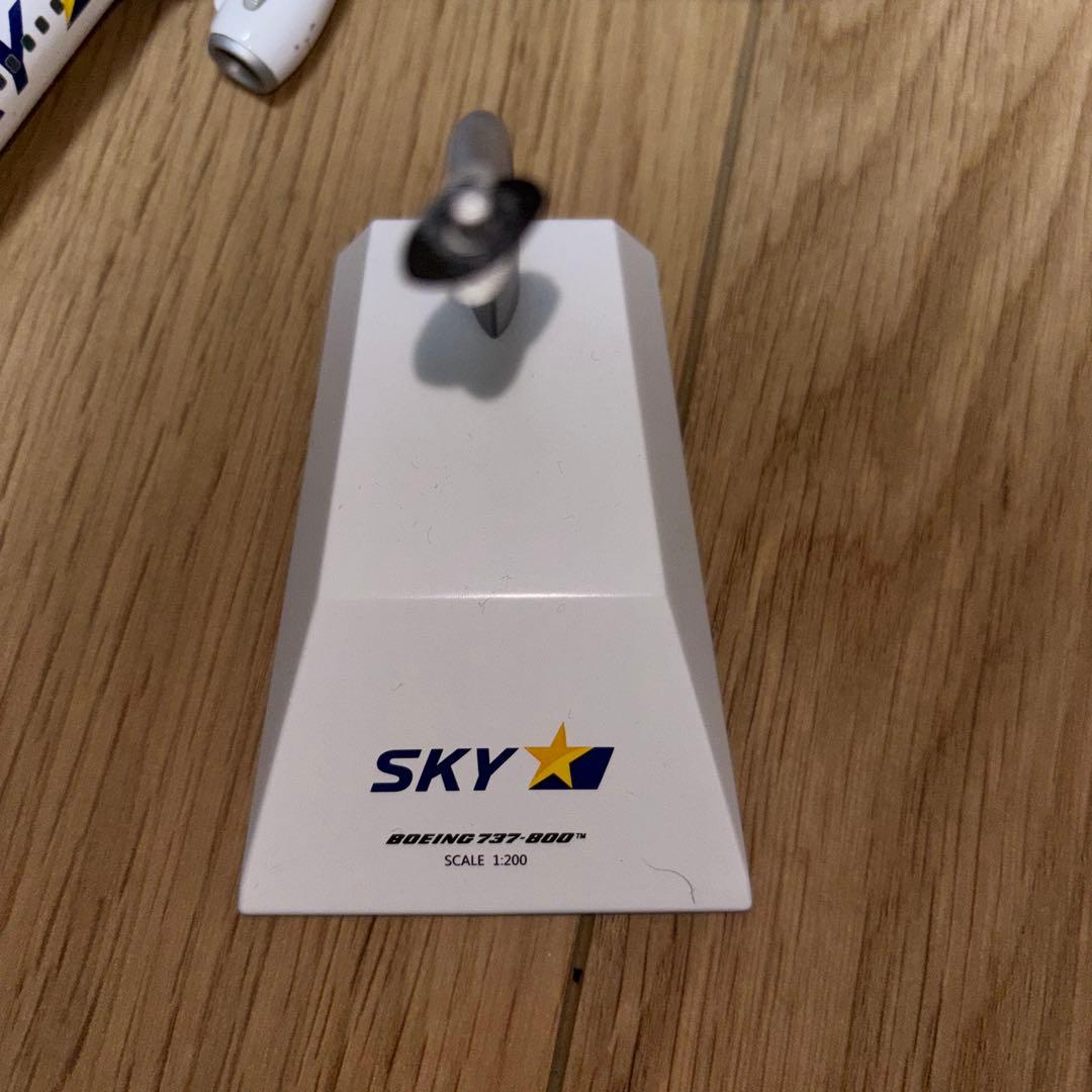 Gemini 200 Boeing 737-800 SKYモデル
