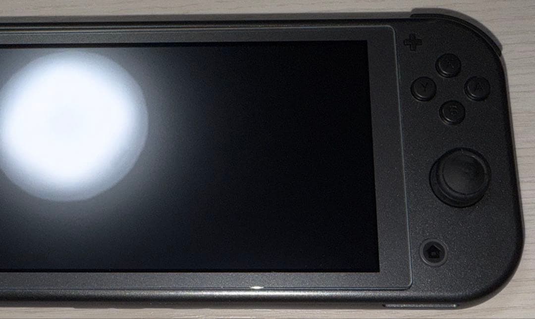 【美品】Nintendo Switch Lite ディアルガ・パルキア ケース付