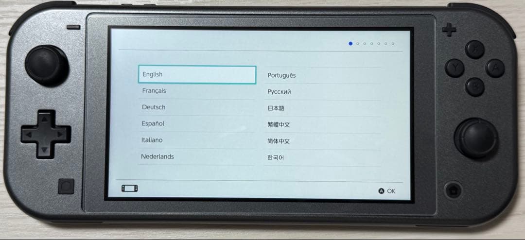 【美品】Nintendo Switch Lite ディアルガ・パルキア ケース付