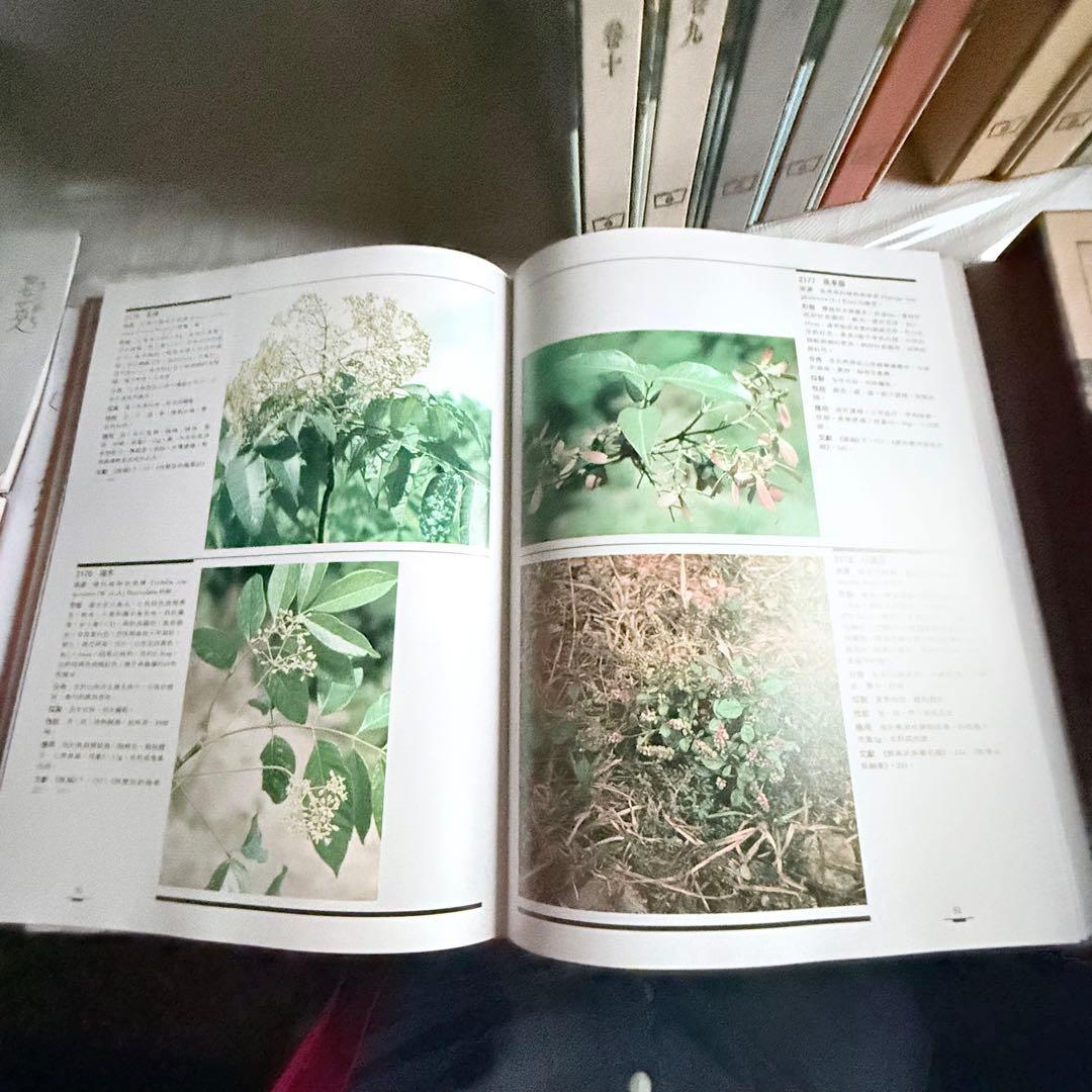 超限定1月13日20時迄‼️漢薬フルカラー『中國本草圖錄』10巻揃￼中国語薬草図鑑