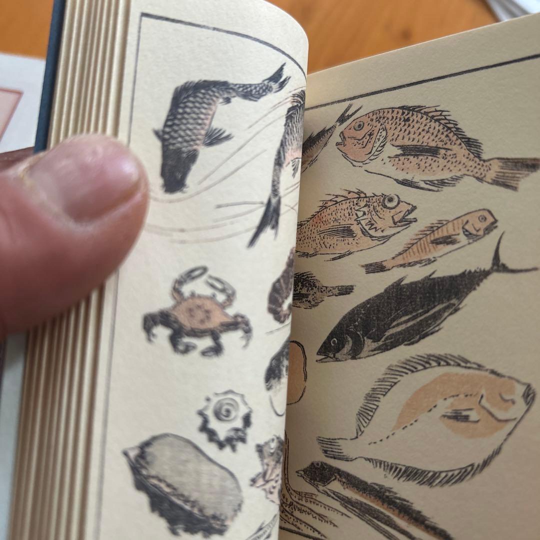 豆本シリーズ[和綴じ]江戸のエスプリ•傑作版本の復刻一筆画譜 : 傳神開手