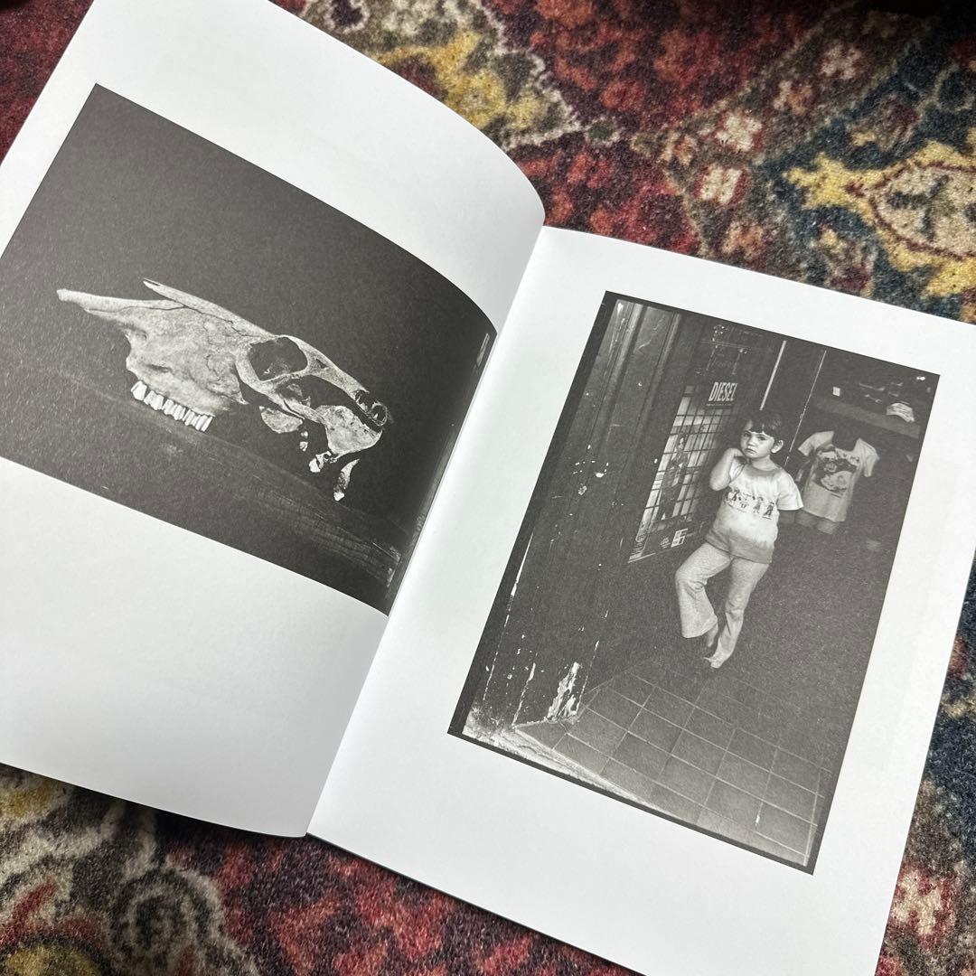 Ed Templeton 写真集 Wayward Cognition