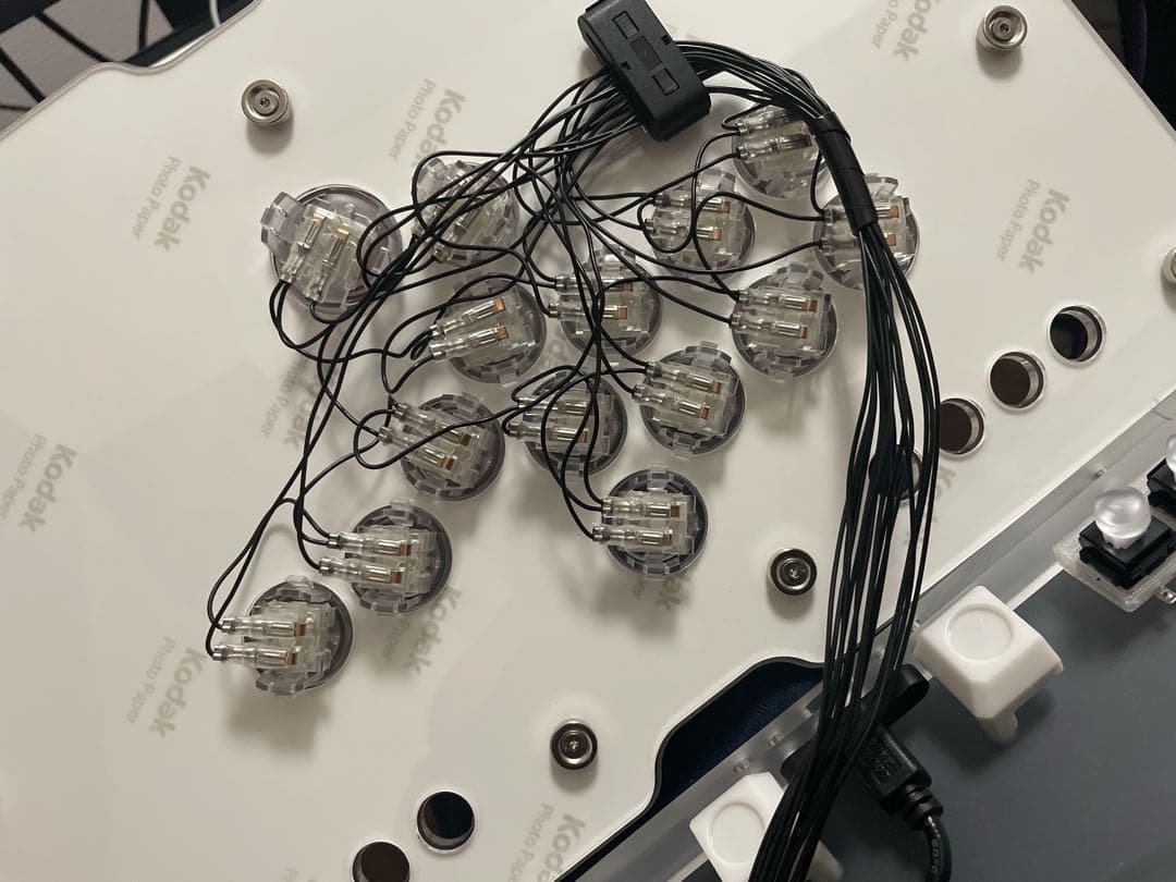 【本日限定特価】EVO 2025 ULTRA BOX レバーレス Brook