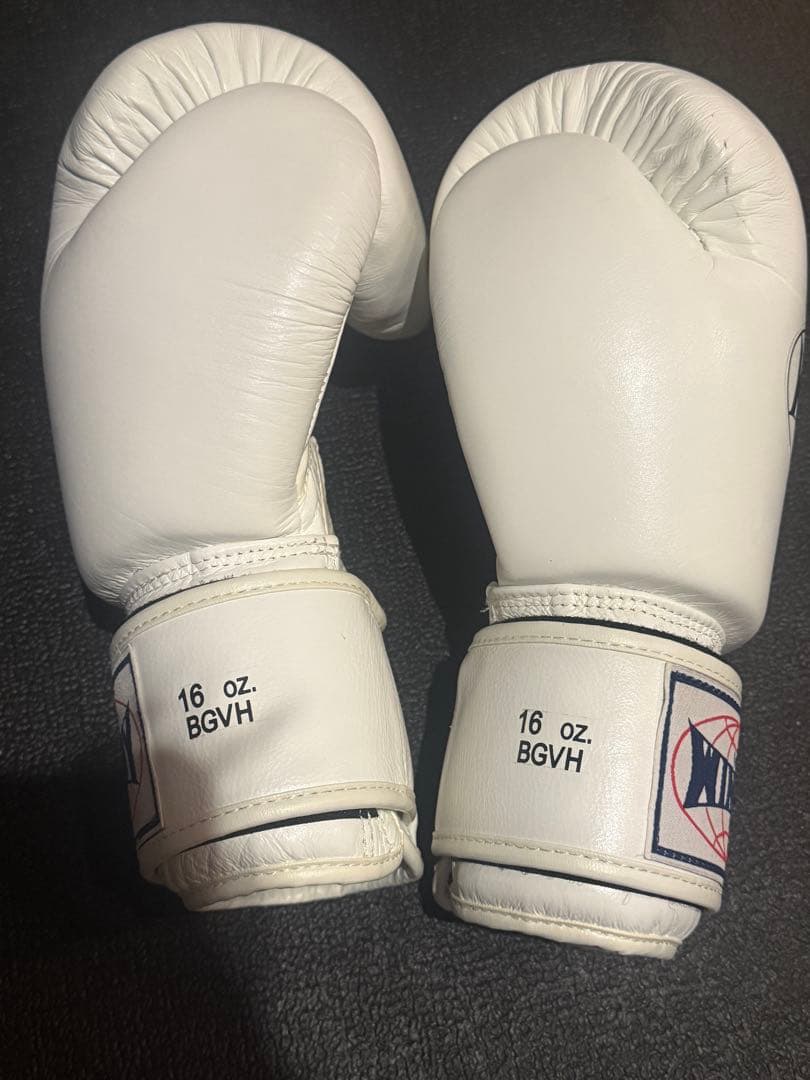 WINDY 16 oz ボクシンググローブ ホワイト