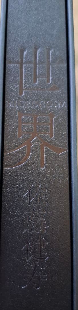 佐藤健寿　世界