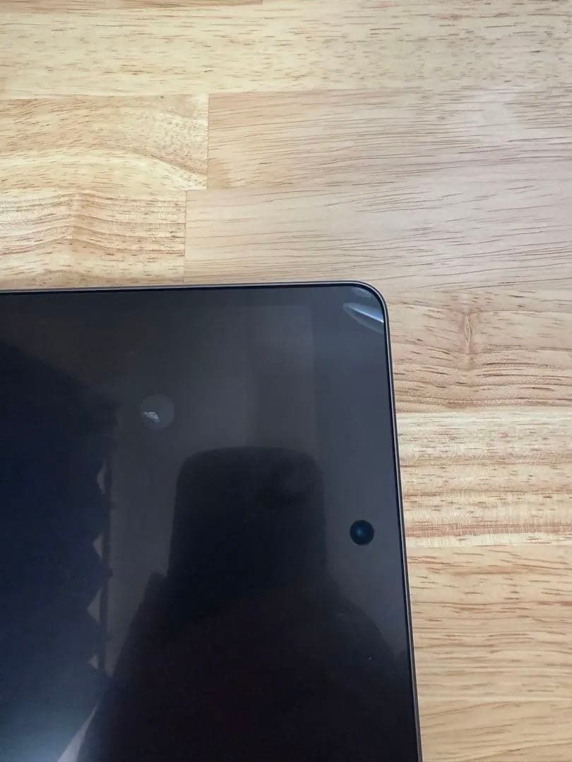 iPad mini 第5世代 64GB 本体　バッテリー100%