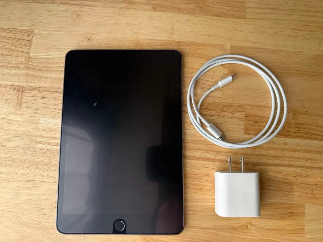 iPad mini 第5世代 64GB 本体　バッテリー100%