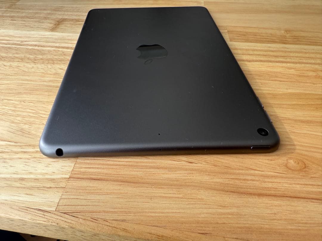 iPad mini 第5世代 64GB 本体　バッテリー100%