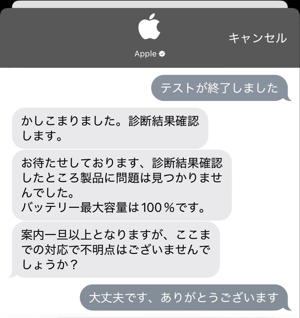 iPad mini 第5世代 64GB 本体　バッテリー100%