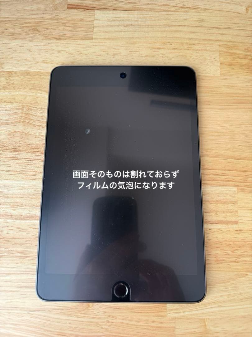 iPad mini 第5世代 64GB 本体　バッテリー100%