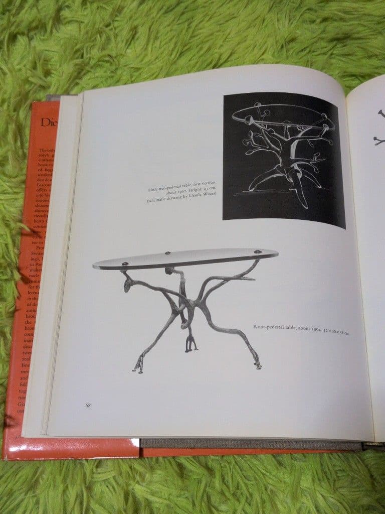 Diego Giacometti 作品集　ハードカバー　ディエゴジャコメッティ