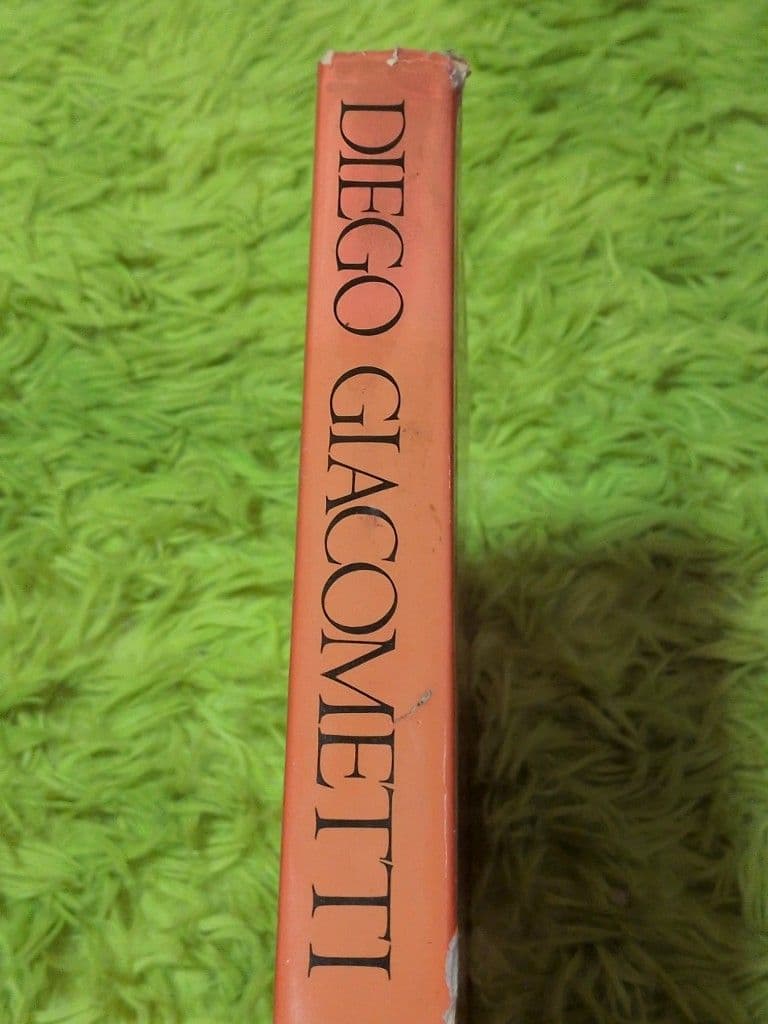 Diego Giacometti 作品集　ハードカバー　ディエゴジャコメッティ