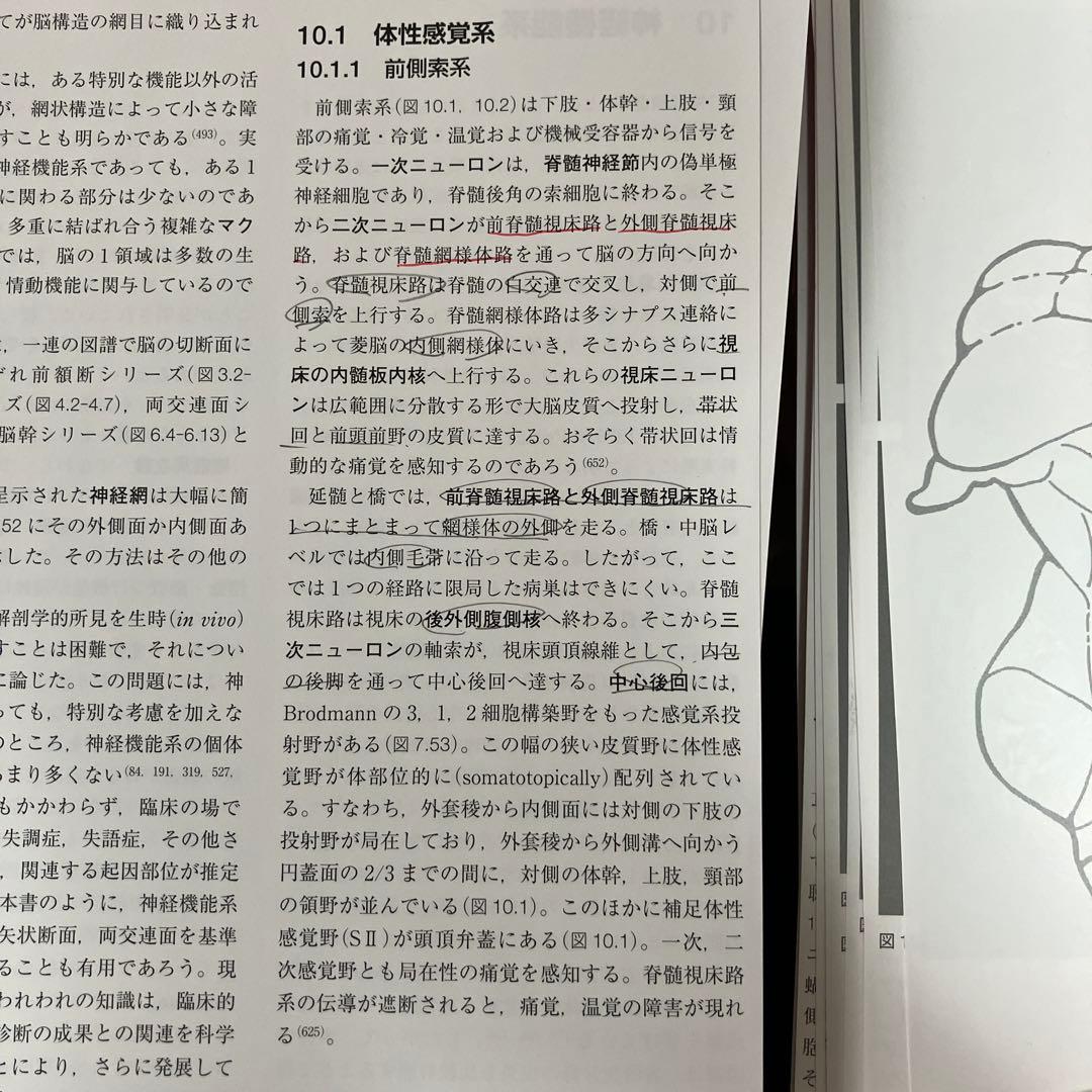 m　脳の機能解剖と画像診断　第二版