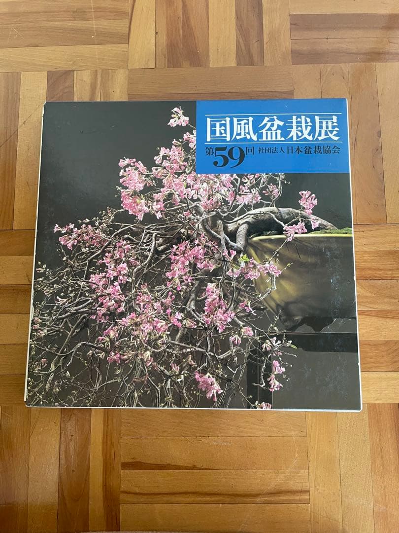 国風盆栽展 書籍セット 55.56.58〜60 62〜64全8巻