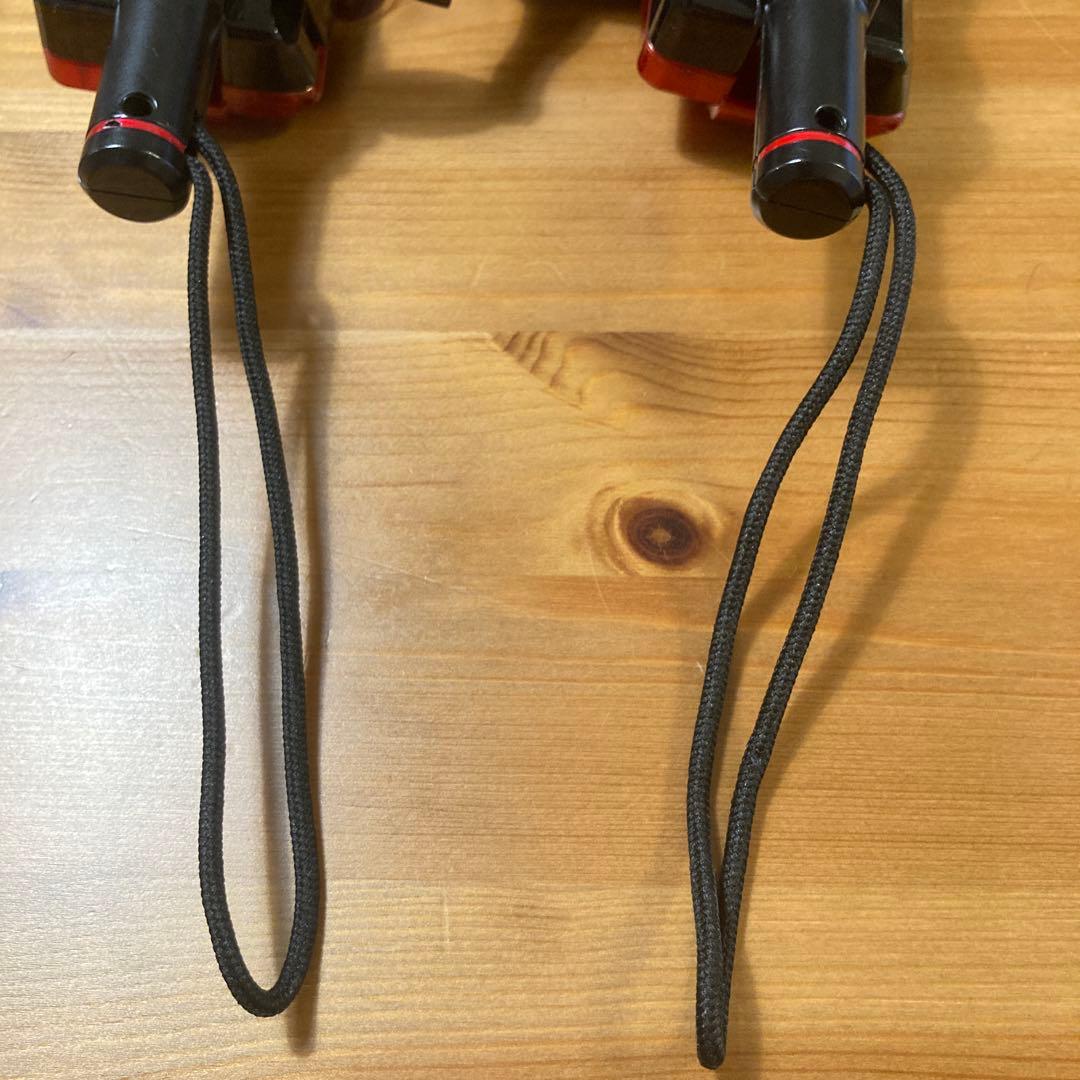 釣りスピリッツ 釣って遊べる水族館 サオコン 2個セット Switch