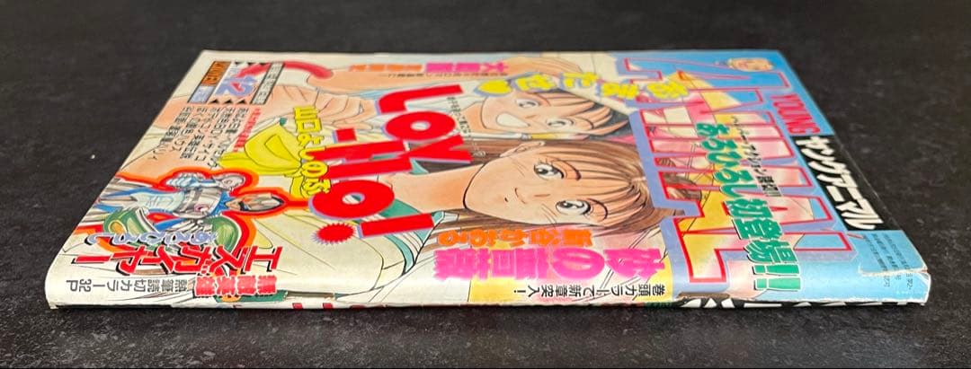 ●ヤングアニマル 1993年 No.12 ●ベルセルク 第16話 三浦建太郎