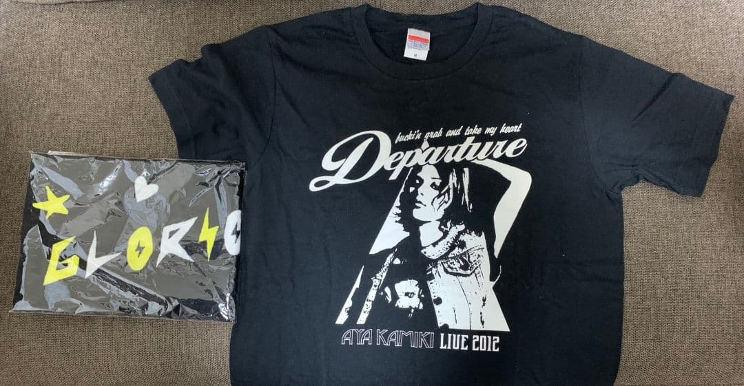 上木彩矢　まとめ売り　ライブ限定ＰＰＣ等