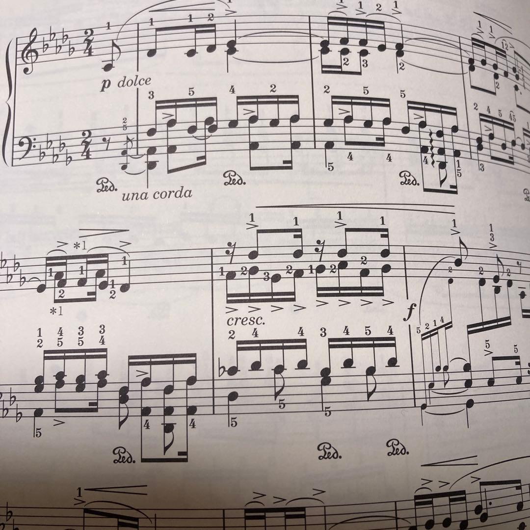 L.GODWSKY/ショパンのエチュードによる練習曲集 全5巻R.LIENAU