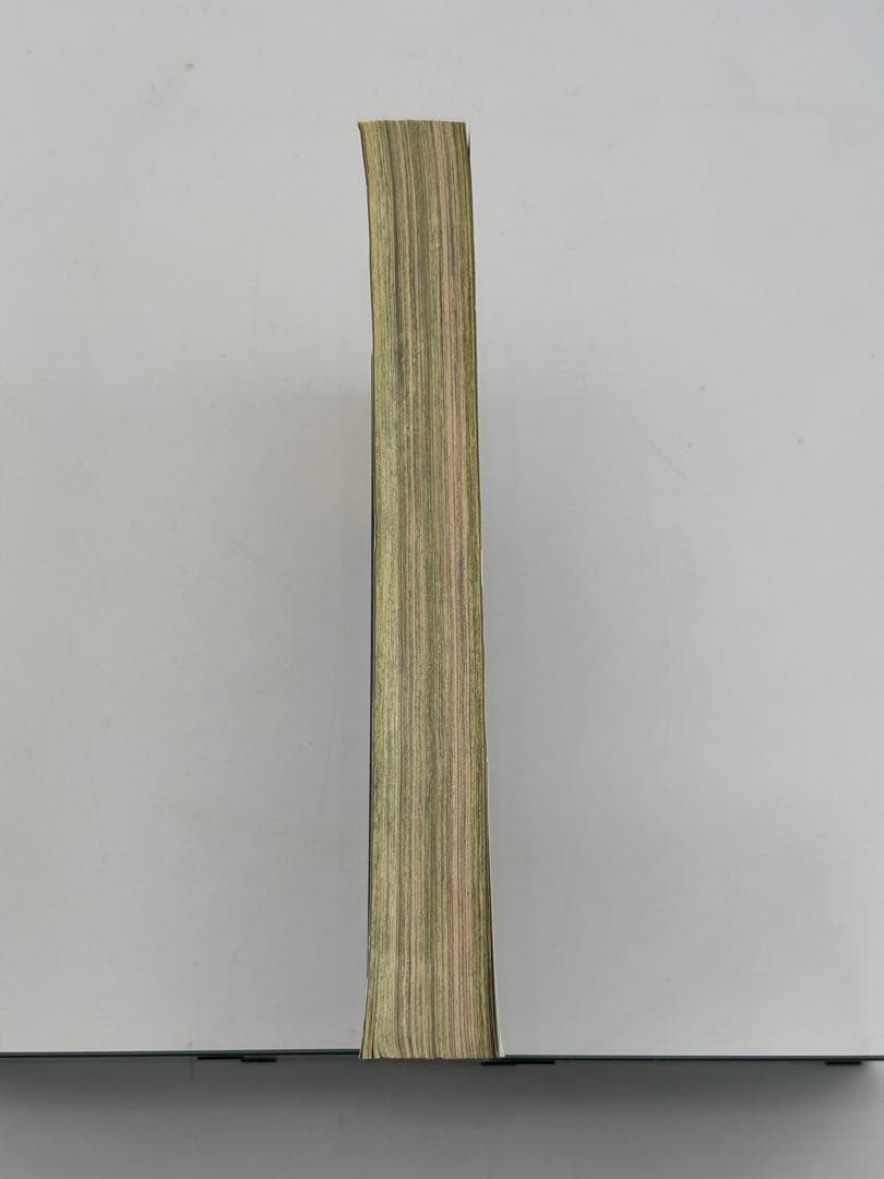 J*1様 美品 週刊少年マガジン 2006年35号 フェアリーテイル　新連載 正