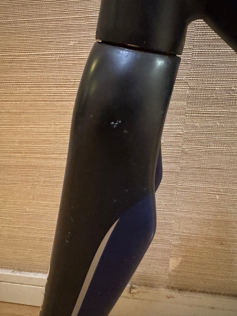 ルイガノ LGS-RSR LE フレームセット450 size