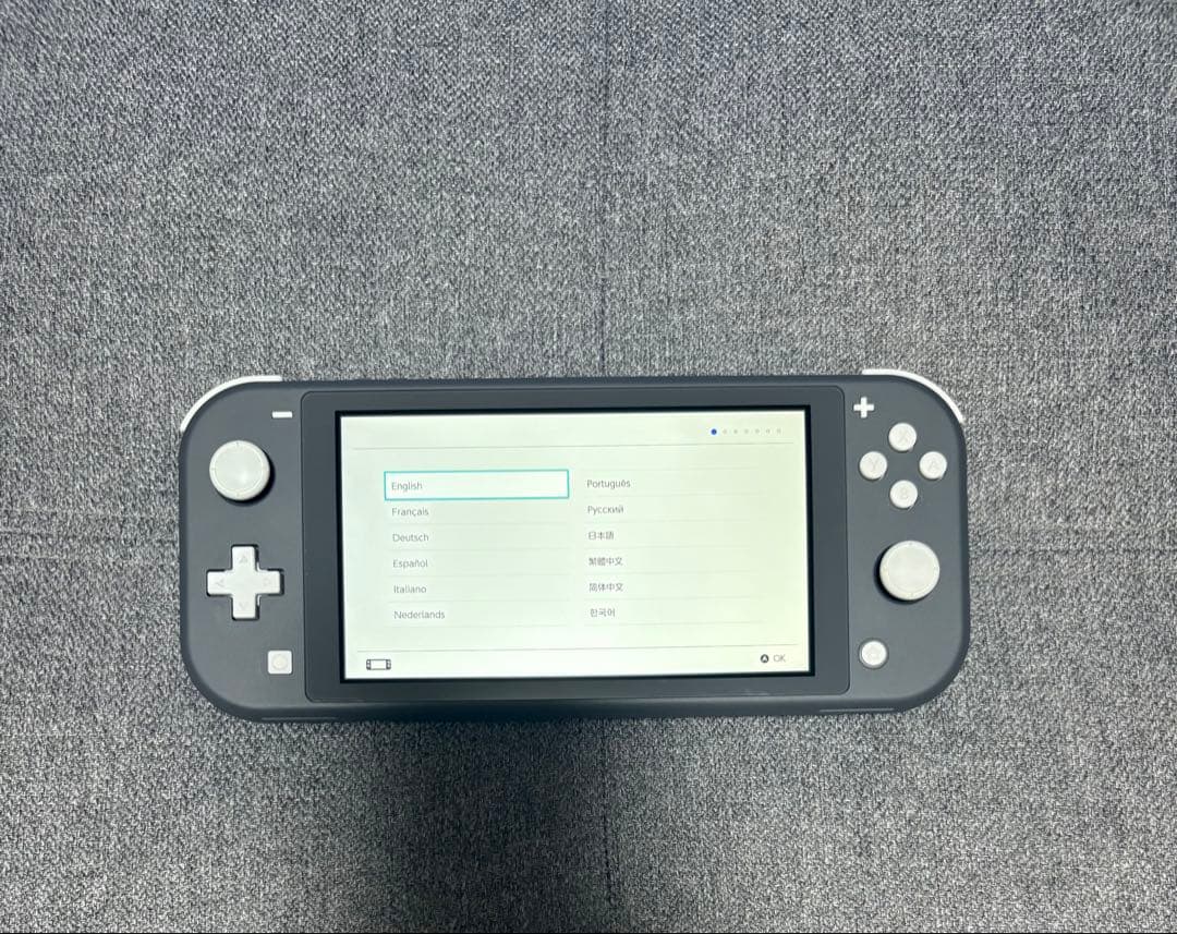 Nintendo Switch Lite グレー 充電器・ソフト付き