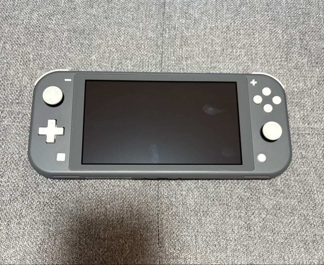 Nintendo Switch Lite グレー 充電器・ソフト付き