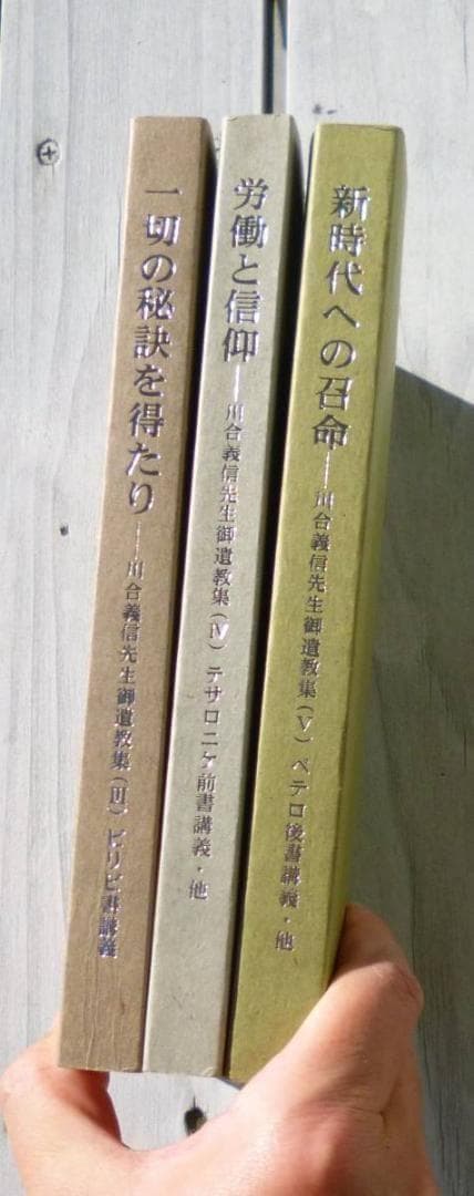 【入手困難】川合信水 　全11冊　論語教話　川合山月 肥田春充　儒教　新井奥邃