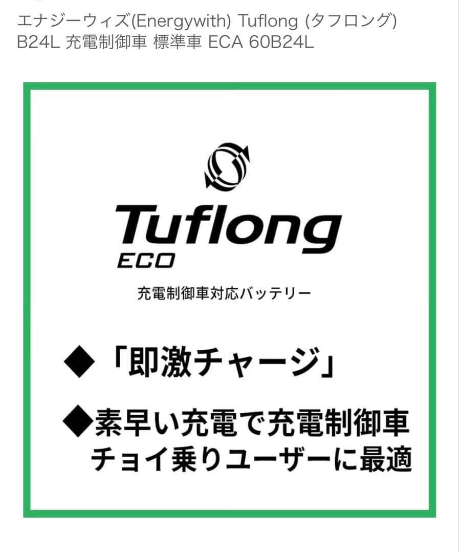 Energywith Tuflong 充電制車 標準車 ECO 60B24L