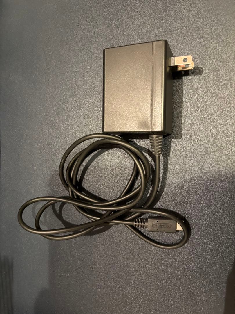 ⭐︎お買得⭐︎Nintendo Switch Lite 本体+充電器+ケース付