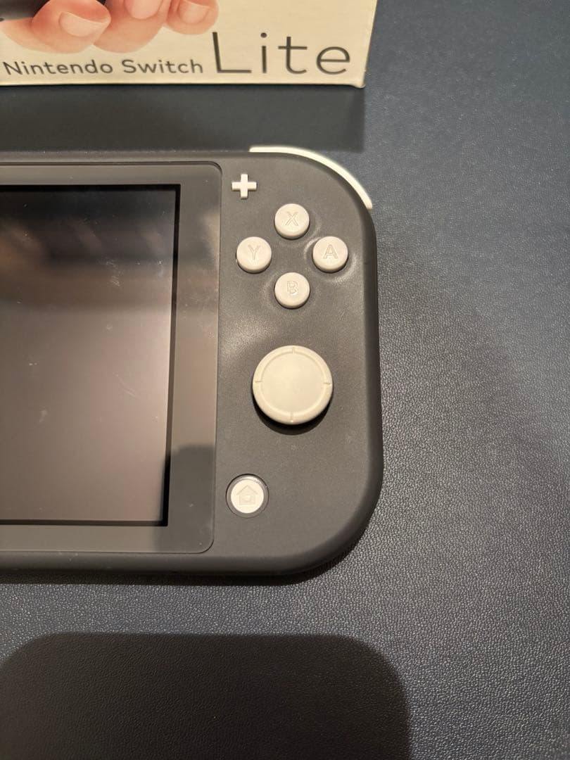 ⭐︎お買得⭐︎Nintendo Switch Lite 本体+充電器+ケース付