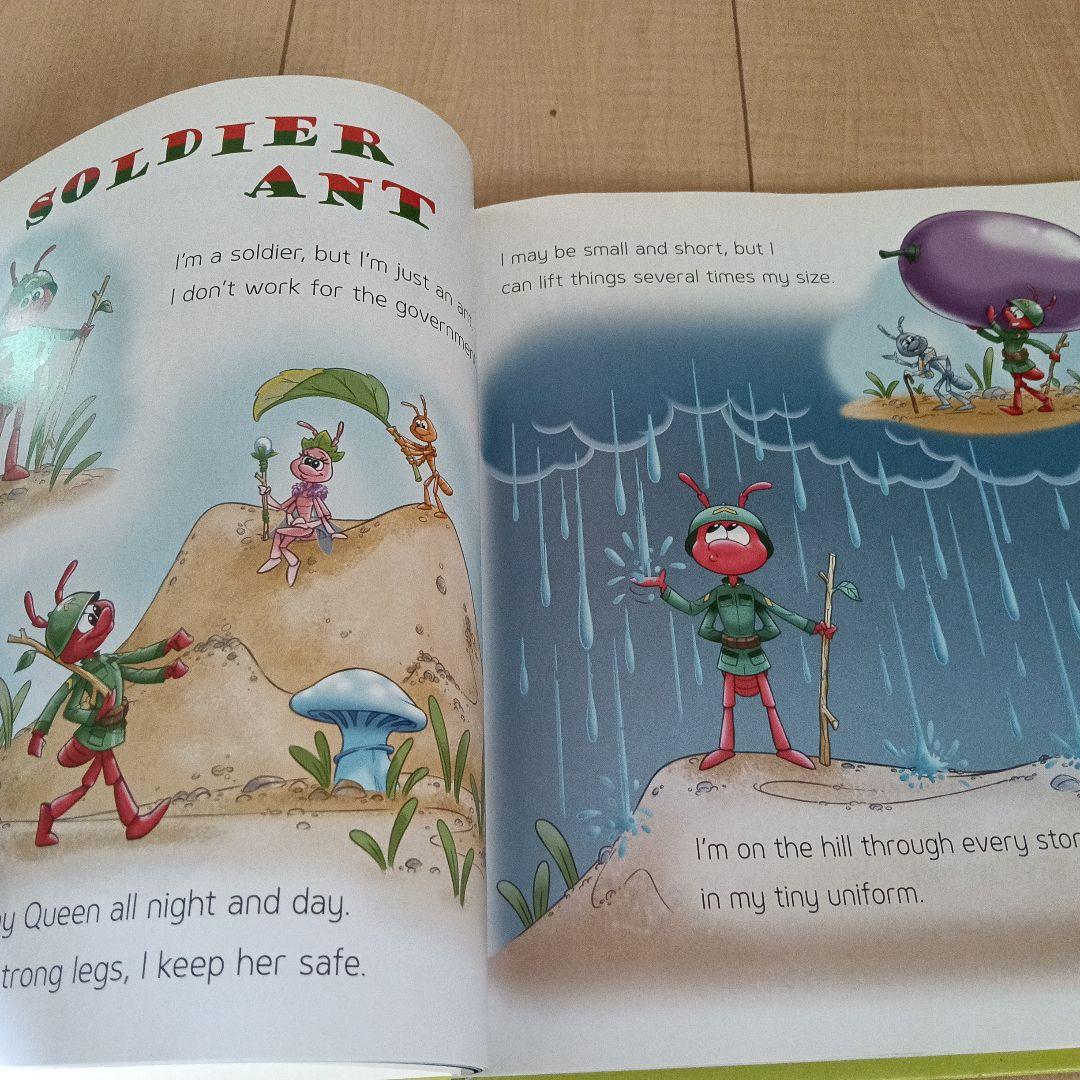 英語教材　グレーブシード Unit 33 CD付き