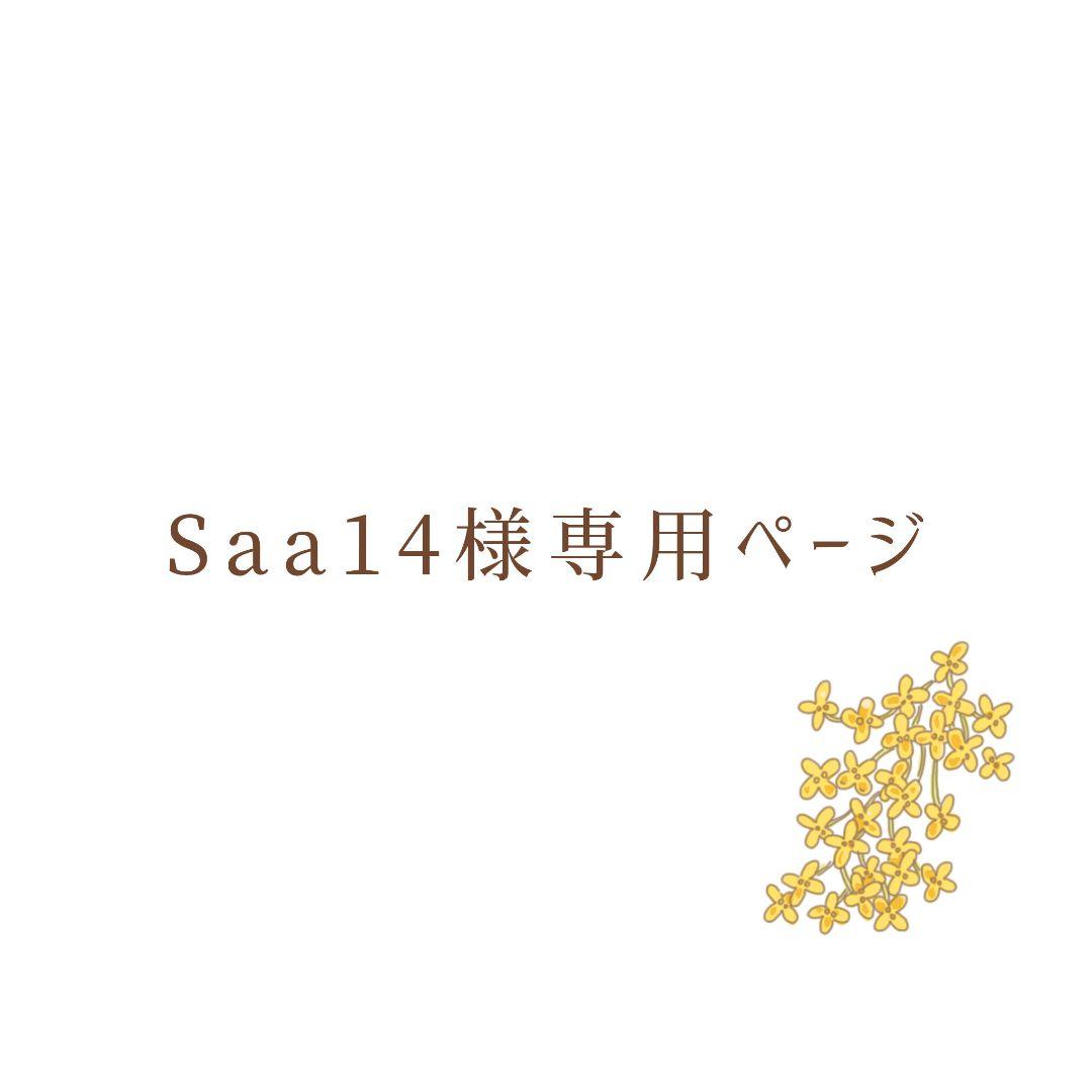 入園 ハンドメイド レッスンバッグ ランチョンマット お着替え袋 男の子