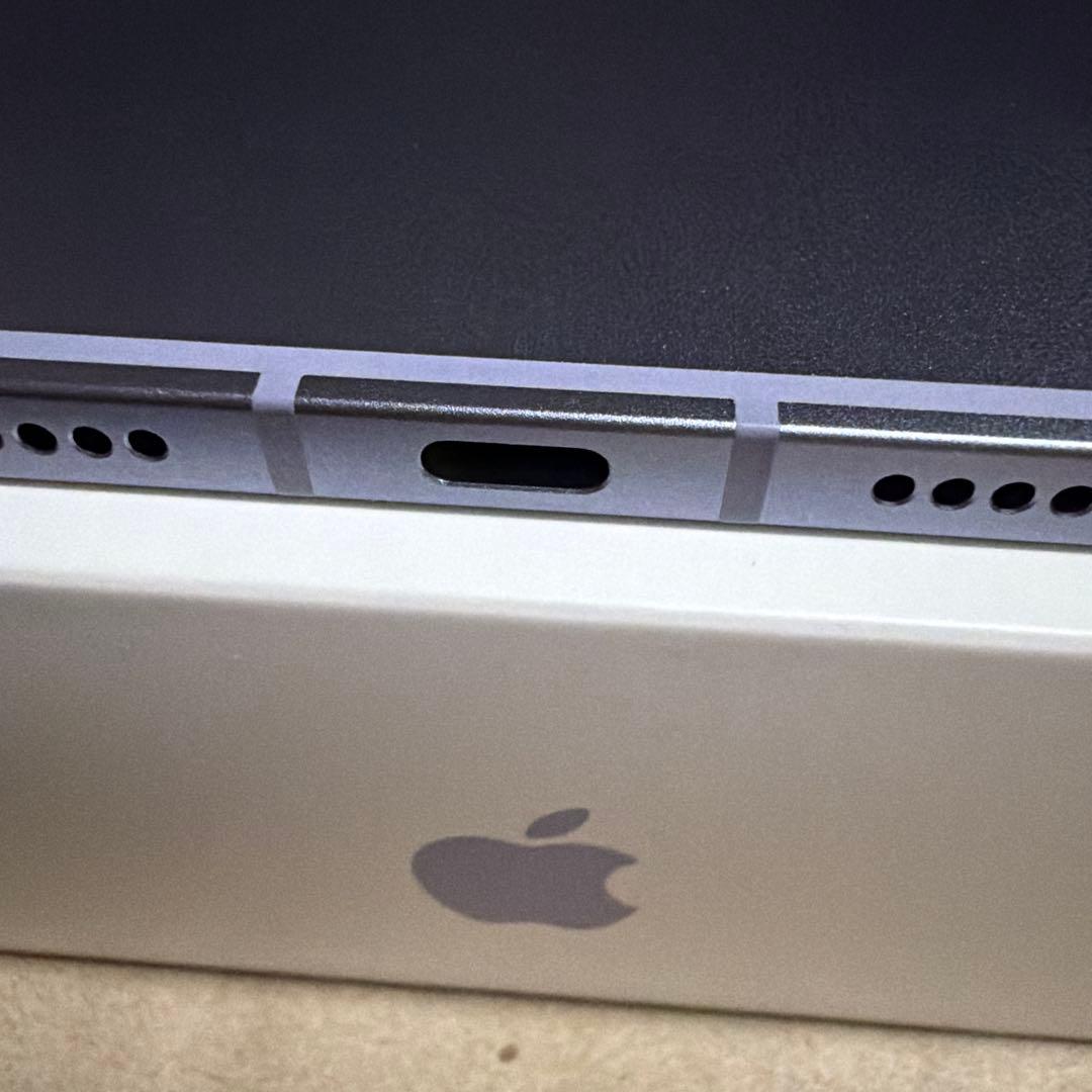 Apple iPad mini (第6世代) 256GB セルラー