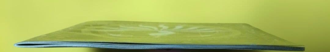 Nao'ymt wit' 1st Season 帯あり 矢的直明