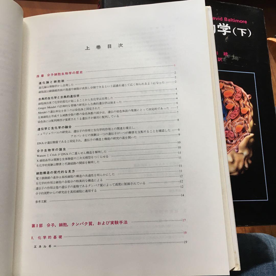 分子細胞生物学 上　下
