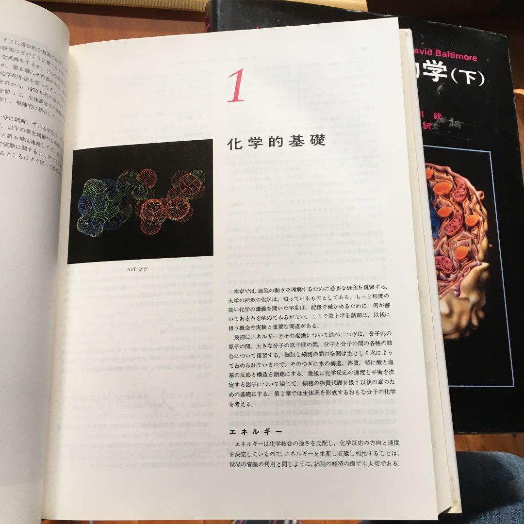 分子細胞生物学 上　下