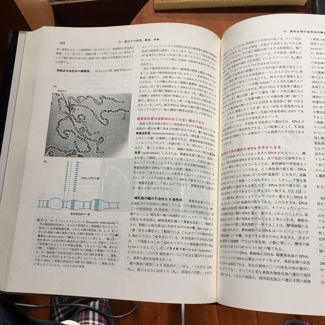 分子細胞生物学 上　下