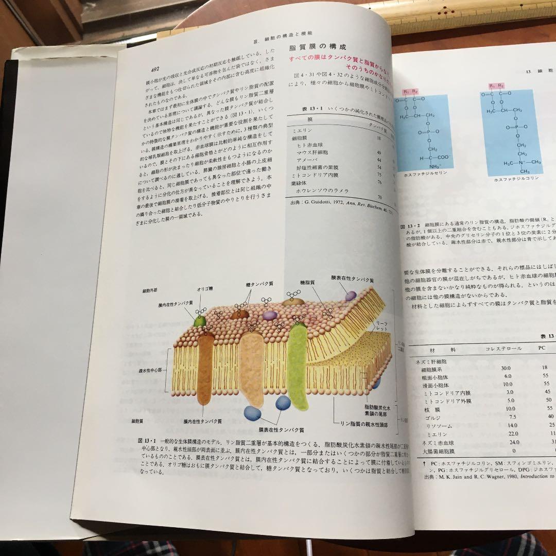 分子細胞生物学 上　下