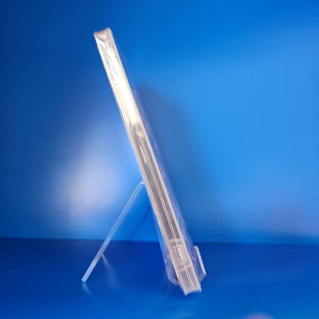 【新品】BUNNY GARDEN バニーガーデン 海外版★日本語対応