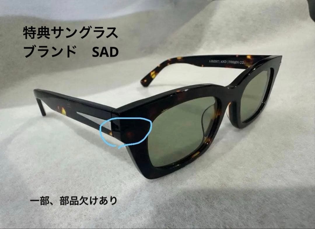 豪華特典付き❗️ イーブルアクト EVILACTレンズ アロー SADサングラス