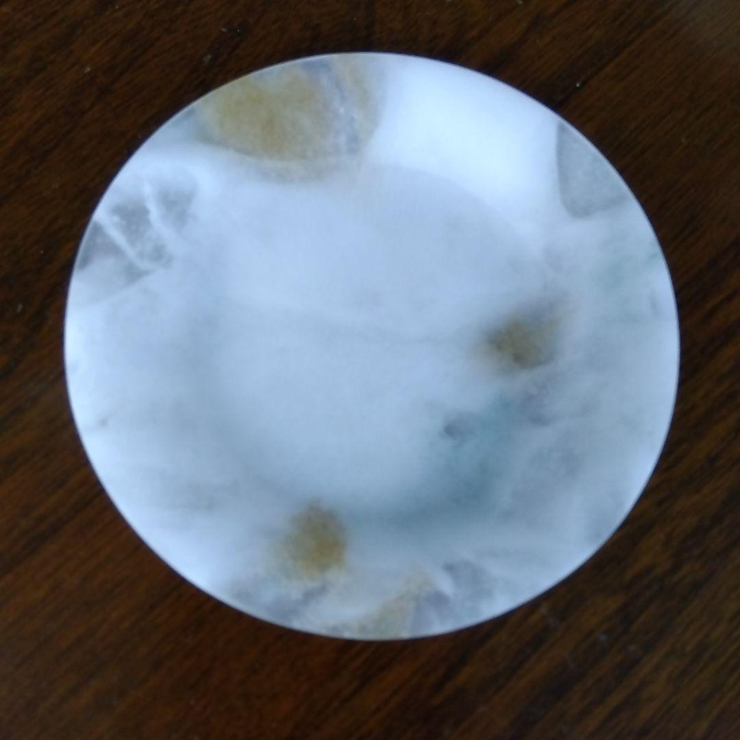 hum　　砂田夏海さん　　 shijima　　　ガラス　パートドヴェール