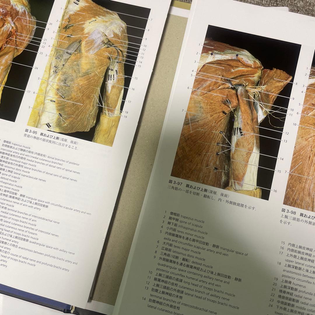 裁断済　解剖学カラーアトラス　第9版